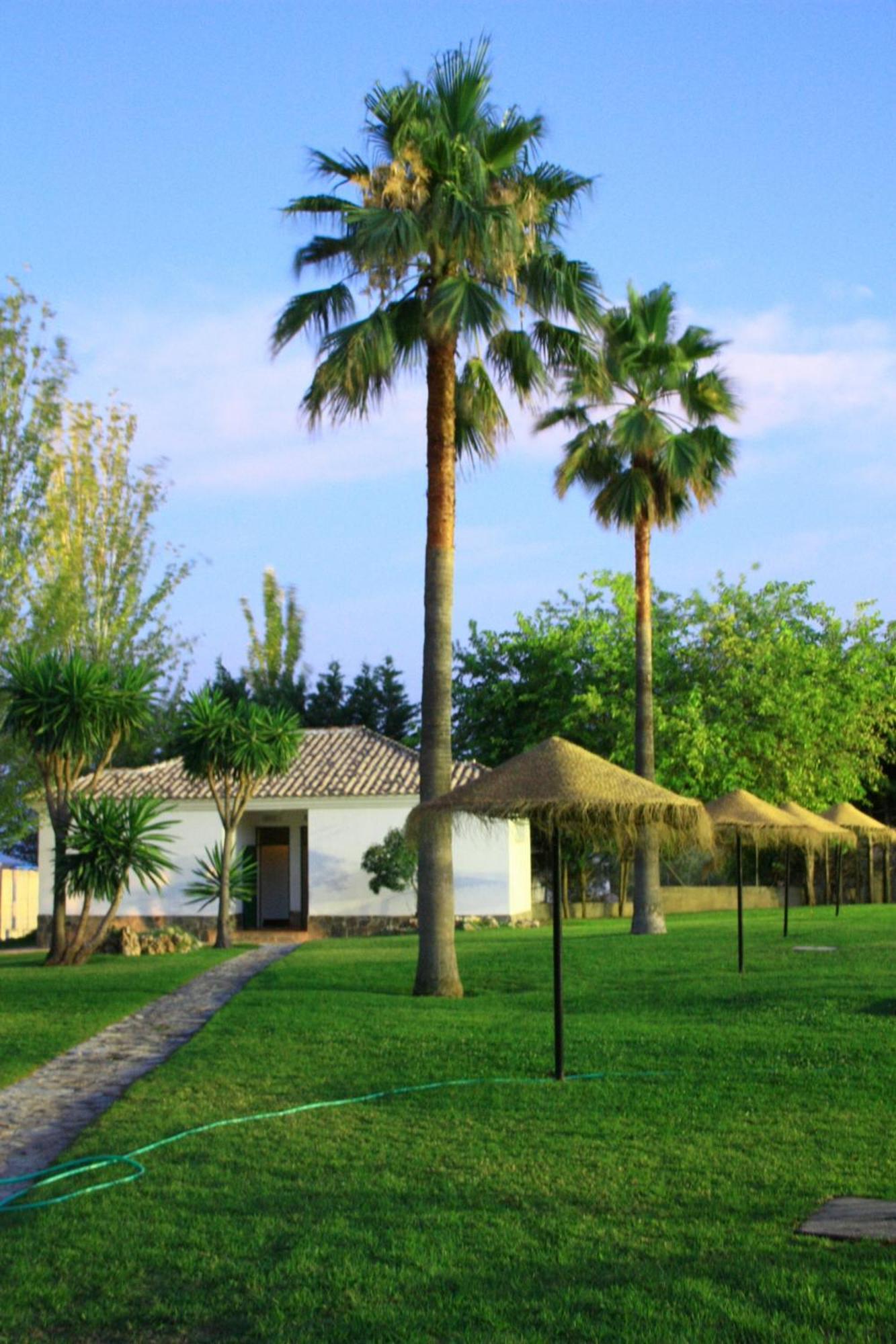 Camping Sierra De Las Nieves Yunquera Ngoại thất bức ảnh